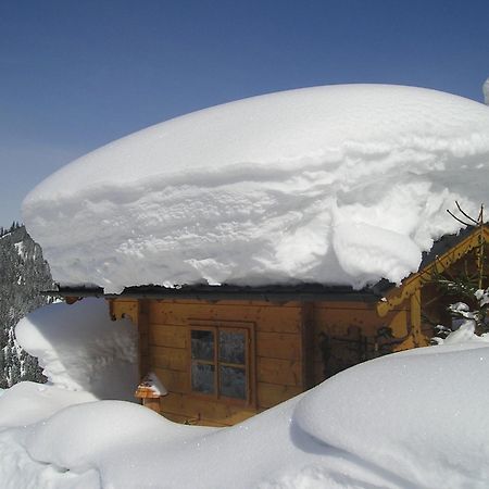 Hotel Fesengut Annaberg im Lammertal Zewnętrze zdjęcie