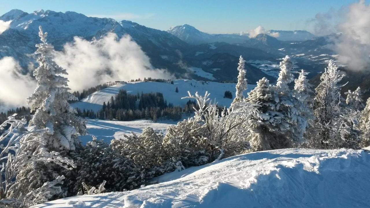 Hotel Fesengut Annaberg im Lammertal Zewnętrze zdjęcie