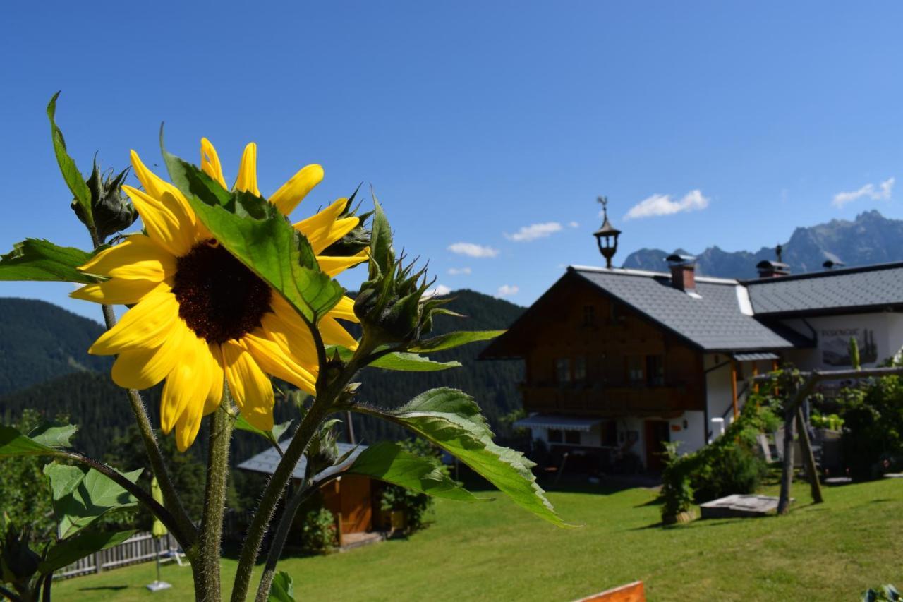 Hotel Fesengut Annaberg im Lammertal Zewnętrze zdjęcie