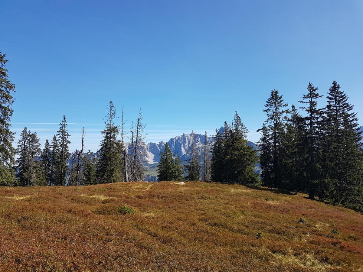Hotel Fesengut Annaberg im Lammertal Zewnętrze zdjęcie