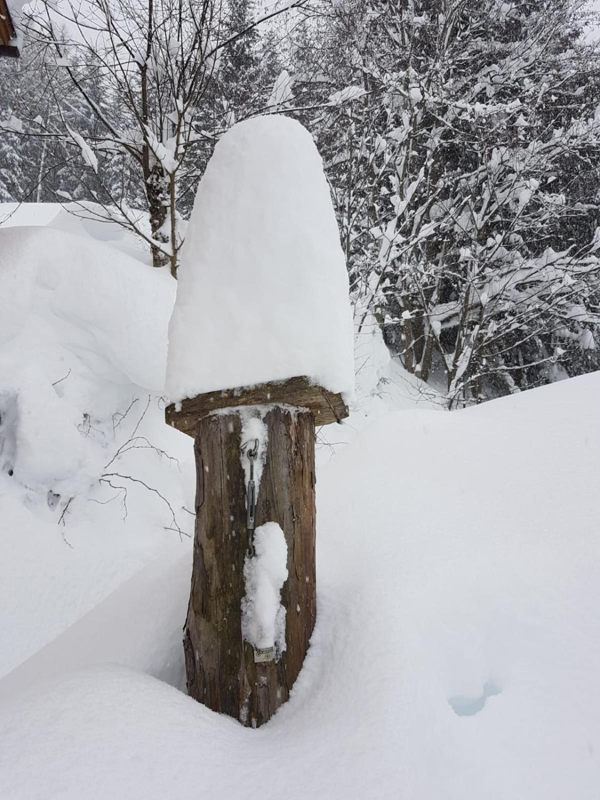 Hotel Fesengut Annaberg im Lammertal Zewnętrze zdjęcie