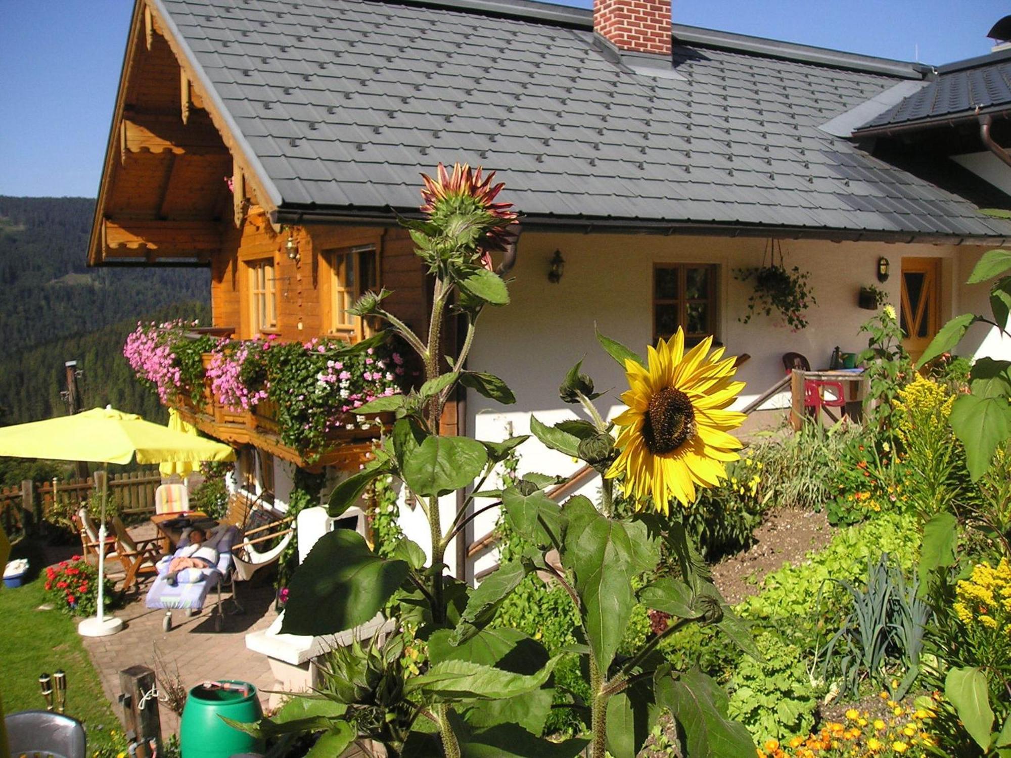 Hotel Fesengut Annaberg im Lammertal Zewnętrze zdjęcie